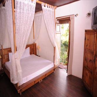 TG Stays Parwanoo Kasauli Road, Kasauli 3